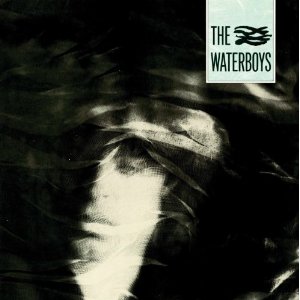 WATERBOYS / ウォーターボーイズ / WATERBOYS (LP)