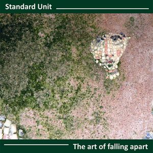 STANDARD UNIT / ART OF FALLING APART