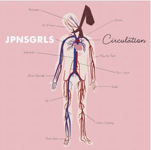 JPNSGRLS / CIRCULATION (LP)