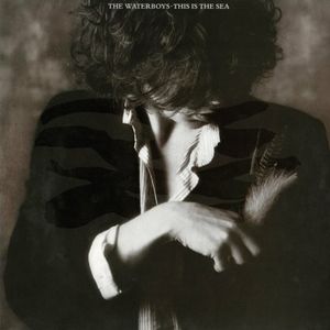 WATERBOYS / ウォーターボーイズ / THIS IS THE SEA (LP)