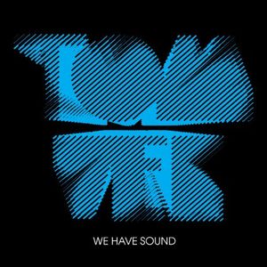 TOM VEK / トム・ヴェック / WE HAVE SOUND (LP)