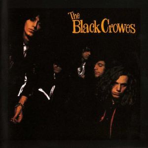 BLACK CROWES / ブラック・クロウズ / SHAKE YOUR MONEY MAKER (LP)