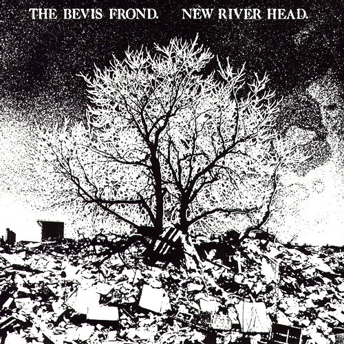 BEVIS FROND / ベヴィス・フロンド / NEW RIVER HEAD (2CD)