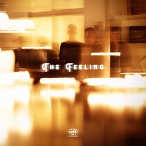FEELING / フィーリング / FEELING / FEELING (DELUXE 2CD)