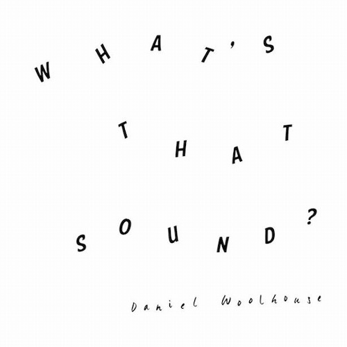 DANIEL WOOLHOUSE / ダニエル・ウールハウス / WHAT'S THAT SOUND?