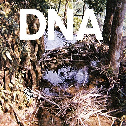 DNA / ディーエヌエー / A TASTE OF DNA (12")