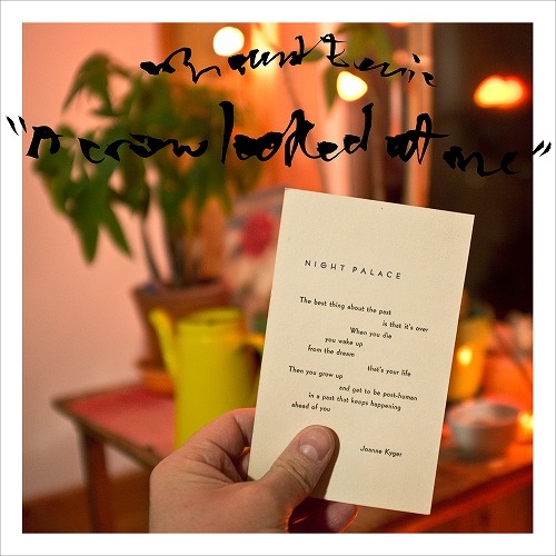 MOUNT EERIE / マウント・イアリ / ア・クロウ・ルックト・アット・ミー