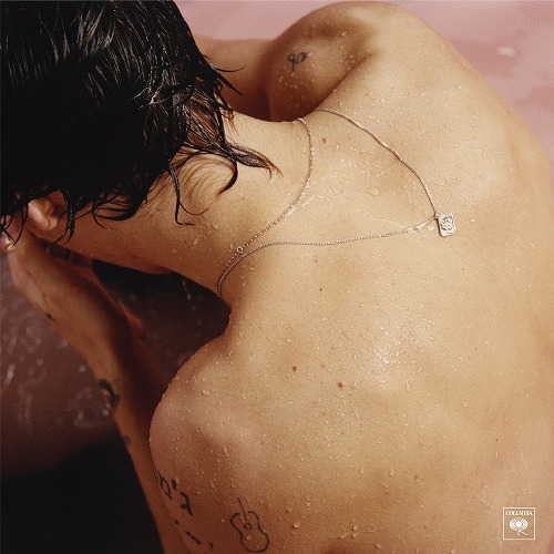 HARRY STYLES / ハリー・スタイルズ / HARRY STYLES (LP/180G/12 PAGE BOOKLET)