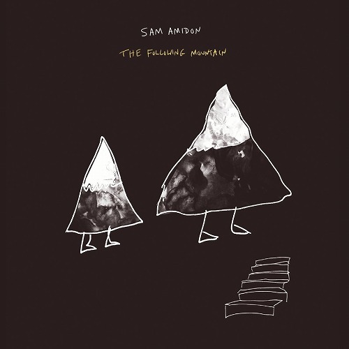SAM AMIDON / サム・アミドン / THE FOLLOWING MOUNTAIN  