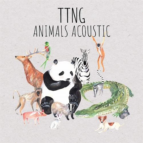 TTNG (THIS TOWN NEEDS GUNS) / ANIMALS ACOUSTIC (LP)