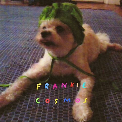 FRANKIE COSMOS / フランキー・コスモス / ZENTROPY (LP)