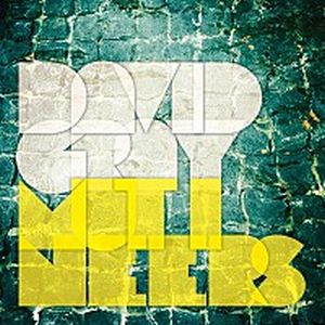DAVID GRAY / デヴィッド・グレイ / MUTINEERS / ミューティニアーズ