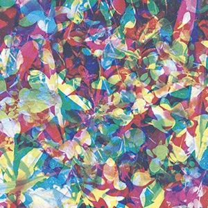 CARIBOU / カリブー / OUR LOVE (LP)