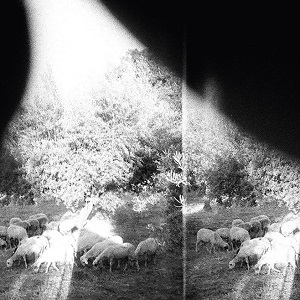 GODSPEED YOU! BLACK EMPEROR / ゴッドスピード・ユー・ブラック・エンペラー / ASUNDER, SWEET AND OTHER DISTRESS