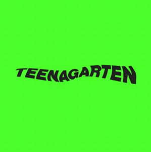 YOURS / ユアーズ / TEENAGARTEN (LP)