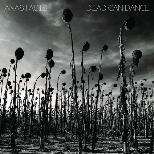 DEAD CAN DANCE / デッド・カン・ダンス / ANASTASIS [180G COLORED 2LP]