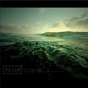 NINE INCH NAILS / ナイン・インチ・ネイルズ / WILD IN WOODSTOCK - LIVE BROADCAST FROM SAUGERTIES, NY, AUGUST 13TH, 1994 (2LP)