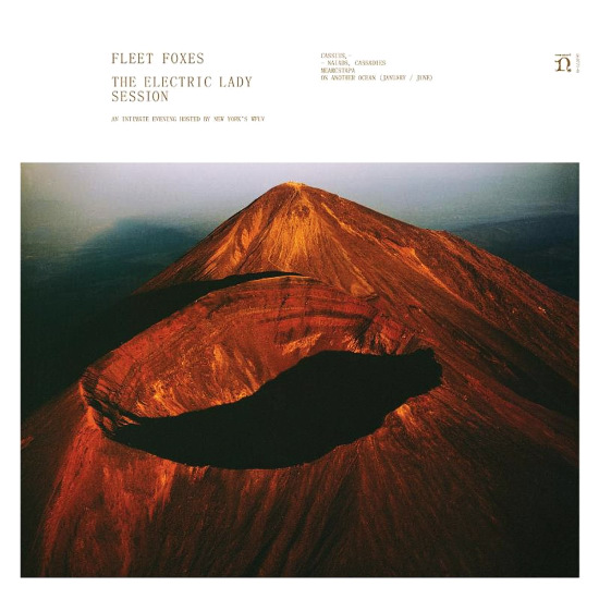 FLEET FOXES / フリート・フォクシーズ / THE ELECTRIC LADY SESSION [10"]