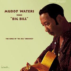 MUDDY WATERS / マディ・ウォーターズ / シングス・ビッグ・ビル