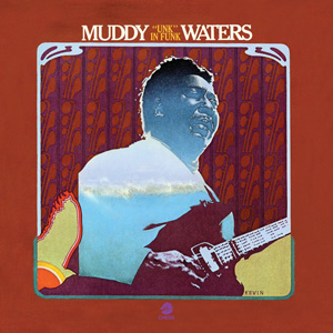 MUDDY WATERS / マディ・ウォーターズ / アンク・イン・ファンク