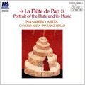 MASAHIRO ARITA / 有田正広 / LA FLUTE DE PAN PORTRAIT OF THE FLUTE AND ITS MUSIC / パンの笛~フルート,その音楽と楽器の400年の旅