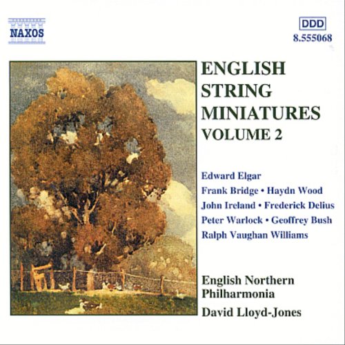 DAVID LLOYED-JOHNS / デーヴィッド・ロイド=ジョーンズ / ENGLISH STRING MINIATURES2