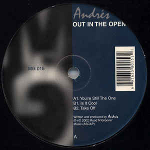 ANDRES / アンドレス / Out In The Open