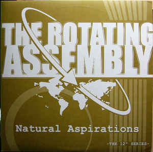 THEO PARRISH WITH ROTATING ASSEMBLY / セオ・パリッシュ・ウィズ・ローテーティング・アセンブリー / NATURAL ASPIRATIONS VINYL VERSION PT.1