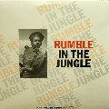 V.A.(ASHER SENATOR,RAGGA TWINS,DJ ZINC...) / Rumble In The Jungle