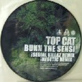 HERETIC  & TOPCAT / Bunn The Sensi (Serial Killaz Remix)