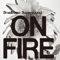 V.A.(SMALLTOWN SUPERSOUND) / Smalltown Supersound On Fire
