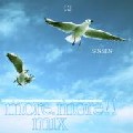 SINSEN / More More Mix!!