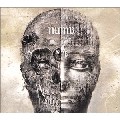 NUMB / ナム / Numb