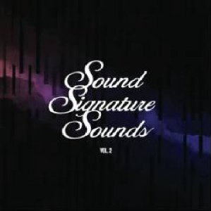 THEO PARRISH / セオ・パリッシュ / Sound Signature Sounds Vol.2