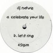 DJ NATURE / DJネイチャー / Celebrate Your Life / Let It Ring