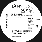TENDERNESS / Gotta Keep On Trying (DJ Harvey Edit)