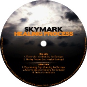 SKYMARK / スカイマーク / Healing Process