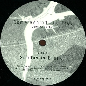 JOEY ANDERSON / ジョイ・アンダーソン / Come Behind The Tree 