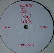 DJ HARVEY / DJハーヴィー / LUNA PARTY
