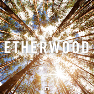 ETHERWOOD / Etherwood 