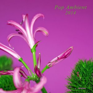 V.A.(POP AMBIENT) / POP AMBIENT 2014