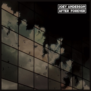 JOEY ANDERSON / ジョイ・アンダーソン / AFTER FOREVER