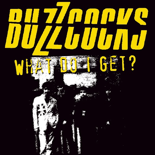 BUZZCOCKS / バズコックス / WHAT DO I GET?
