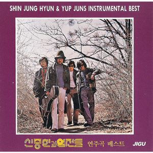 SHIN JOONG HYUN & YUP JUNS / シン・ジュンヒョン&ヨプ・チョンドゥル / INSTRUMENTAL BEST