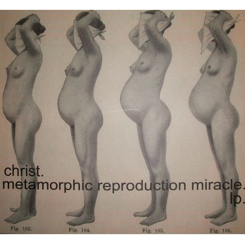 CHRIST. / METAMORPHIC REPRODUCTION MIRACLE