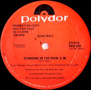 DON RAY / ドン・レイ / STANDING IN THE RAIN