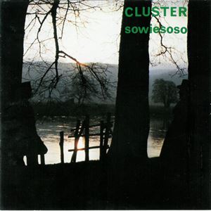CLUSTER / クラスター / SOWIESOSO