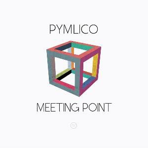 PYMLICO / MEETING POINT: LP+CD