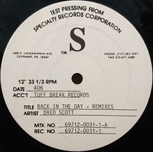 DRED SCOTT / ドレッド・スコット / BACK IN THE DAY REMIX 12"