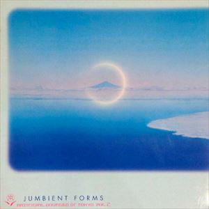 V.A.  / オムニバス / JUMBIENT FORMS - ARTIFICIAL SOURCES OF TOKYO VOL.2